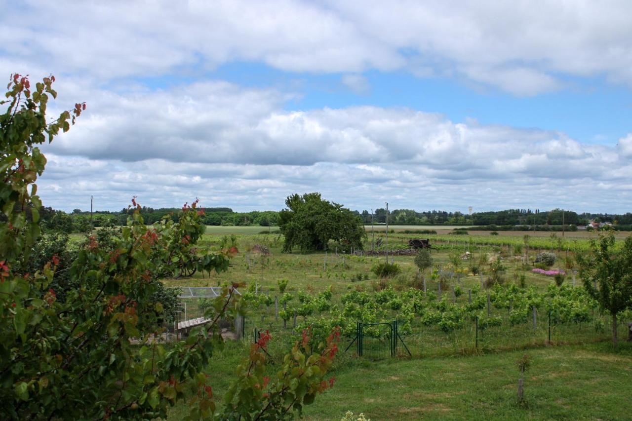 Les Hirondelles Du Moulin Bed and Breakfast Sassay Buitenkant foto