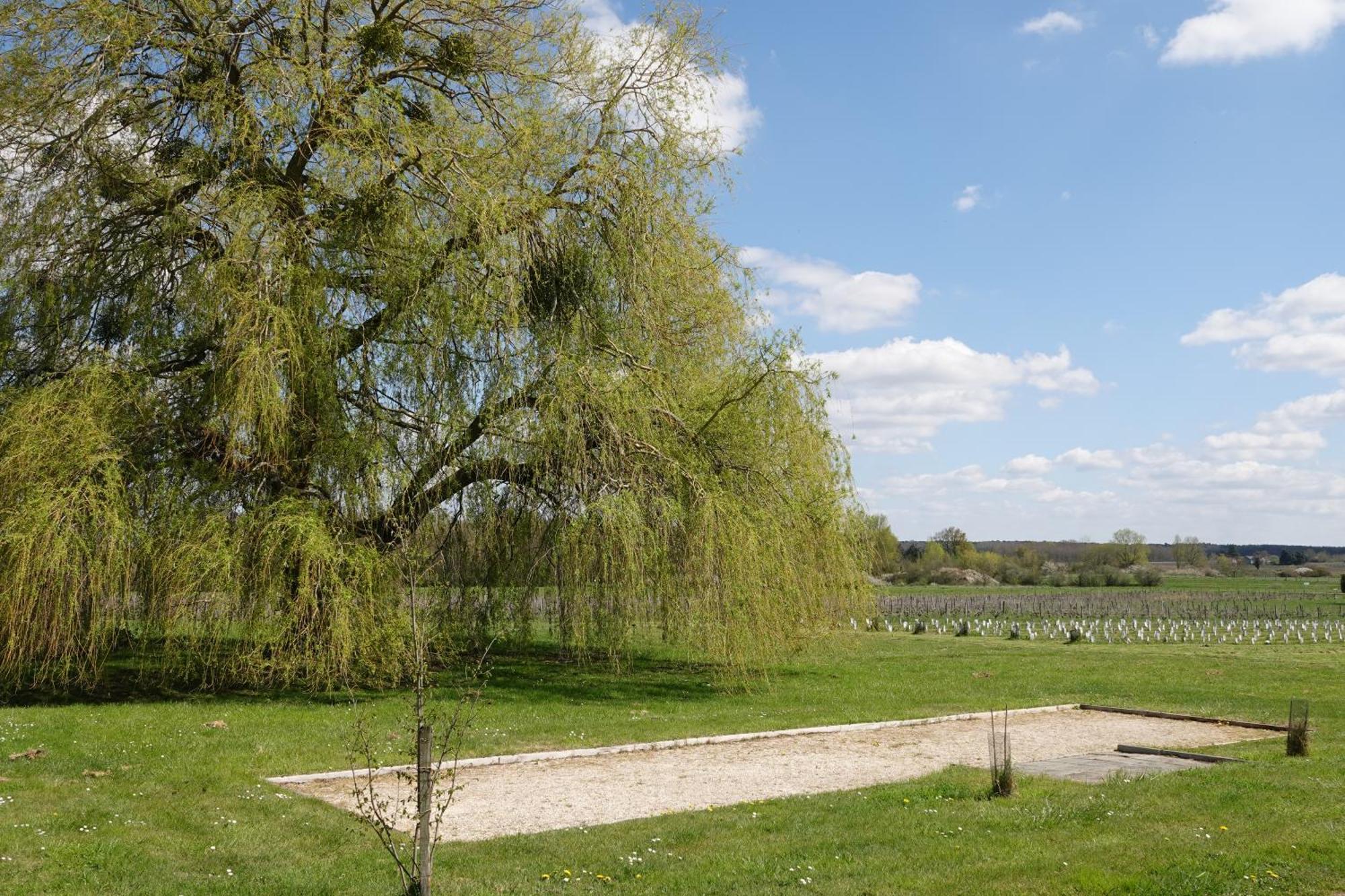 Les Hirondelles Du Moulin Bed and Breakfast Sassay Buitenkant foto