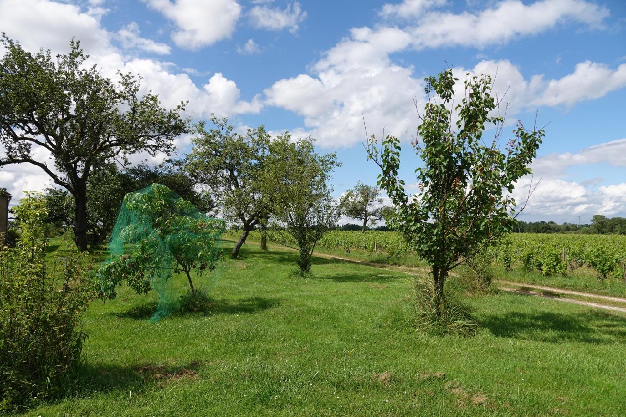 Les Hirondelles Du Moulin Bed and Breakfast Sassay Buitenkant foto